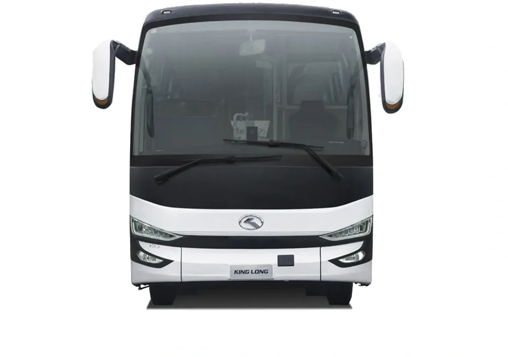 Coach Elettrico Coach Elettrico