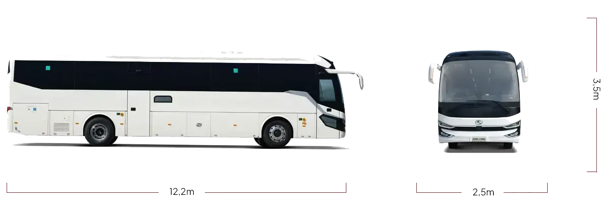 c12 scheda