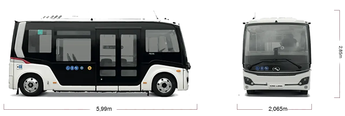 pev6 copia